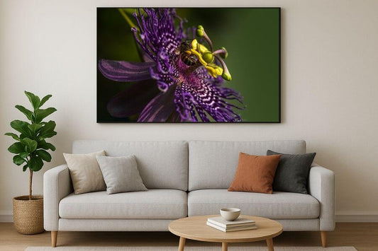 A bee is inhaling the nectar of a passion flower.