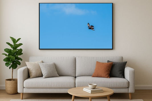 photo of Low angle view of bird flying against blue sky